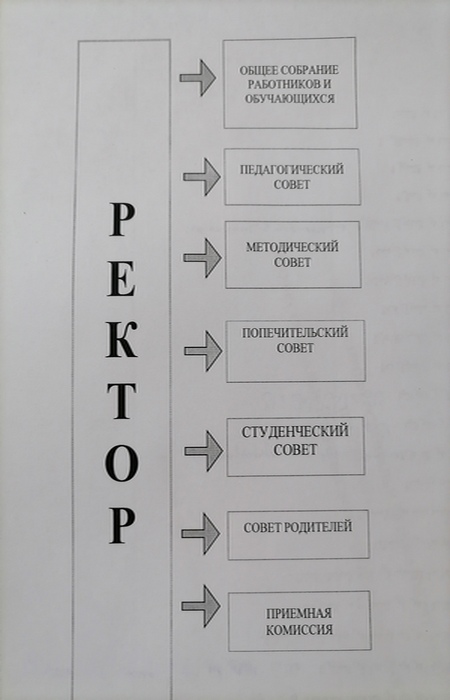 Схема структуры и органов управления медресе «Нуруль Ислам»